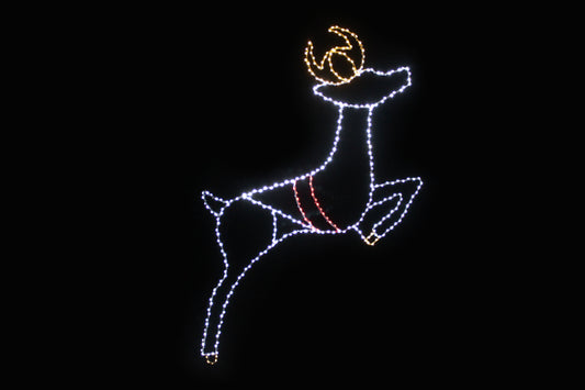 Reindeer Leaping