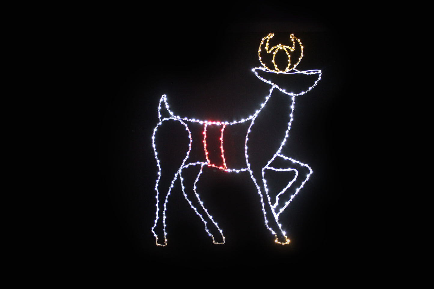 Reindeer Standing