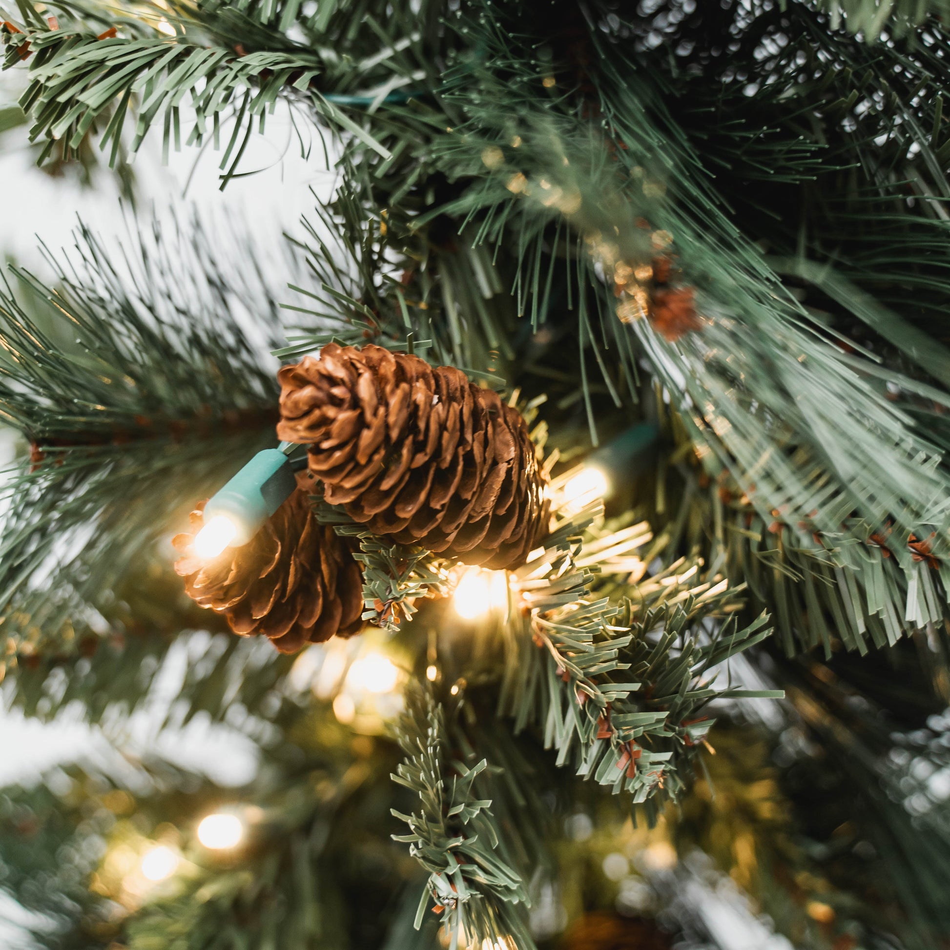 Mixed Evergreen Garland